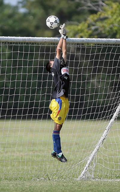 以应对球队 以应对球队